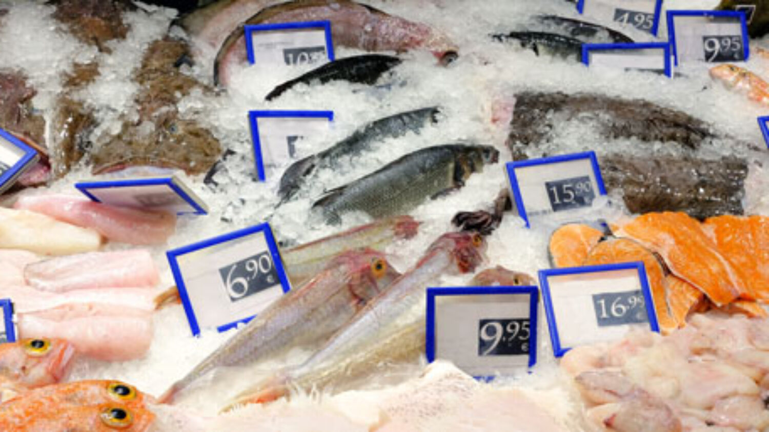 Certificación de Productos