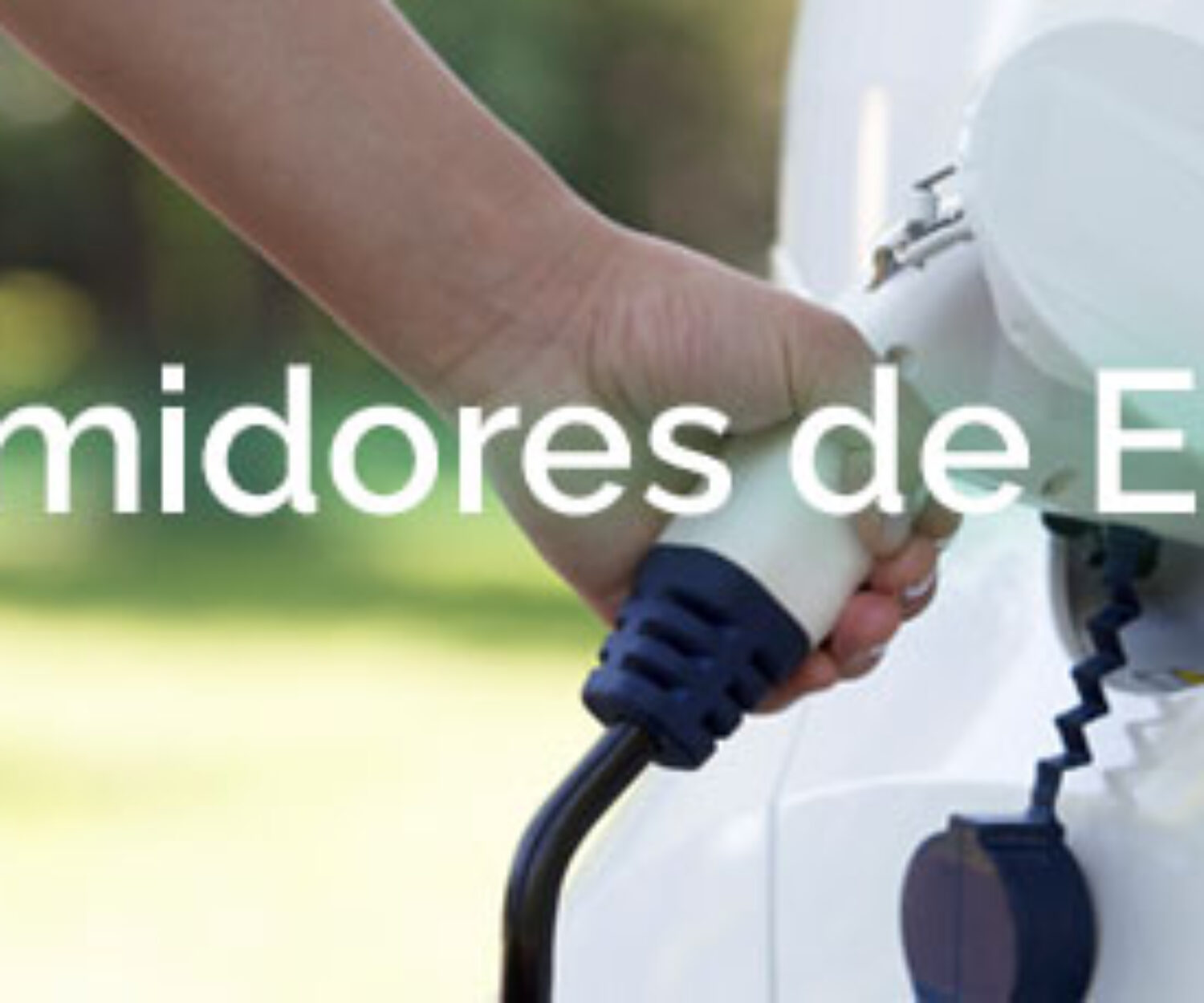 Consumidores de Energía