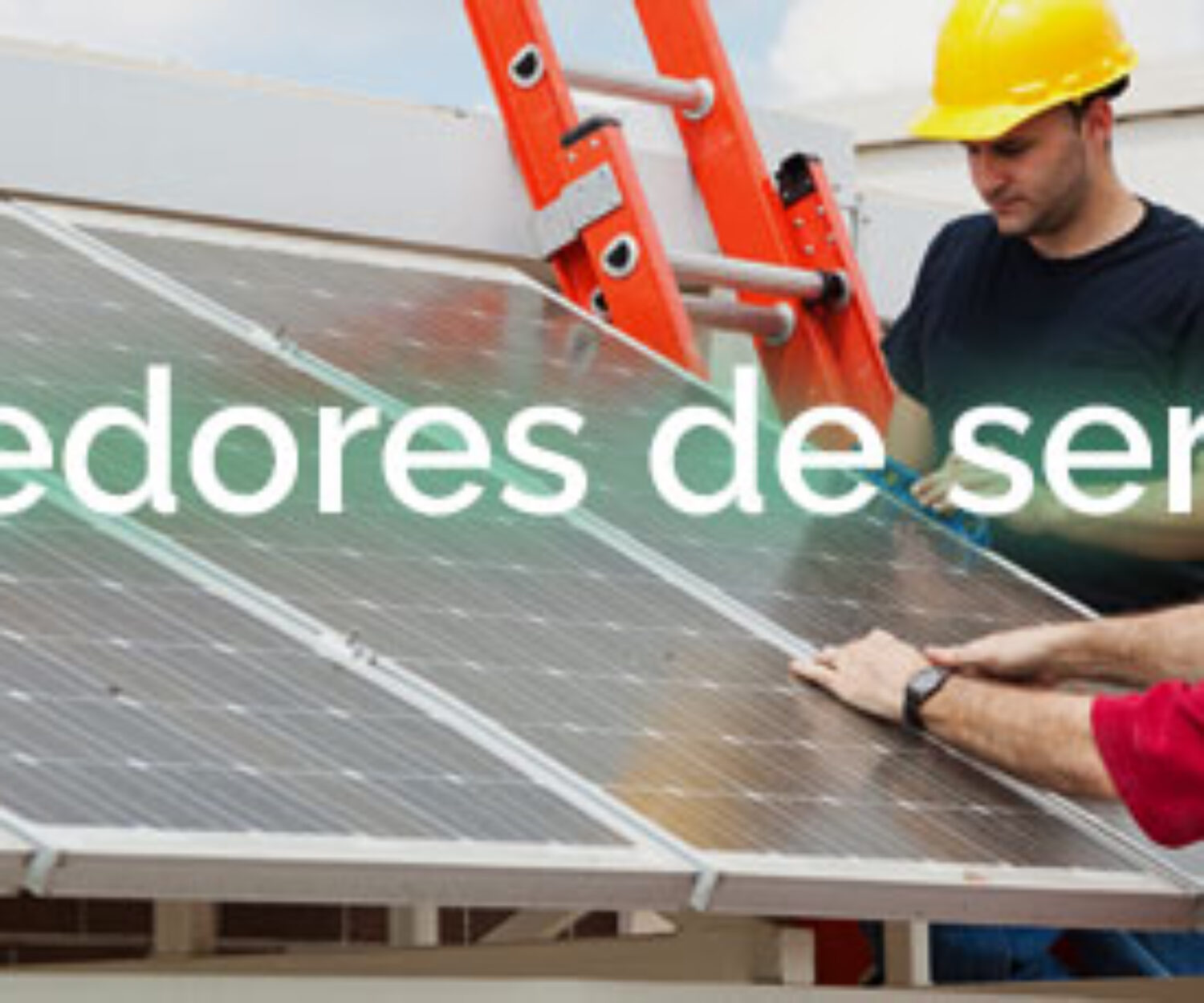 Proveedores de servicios