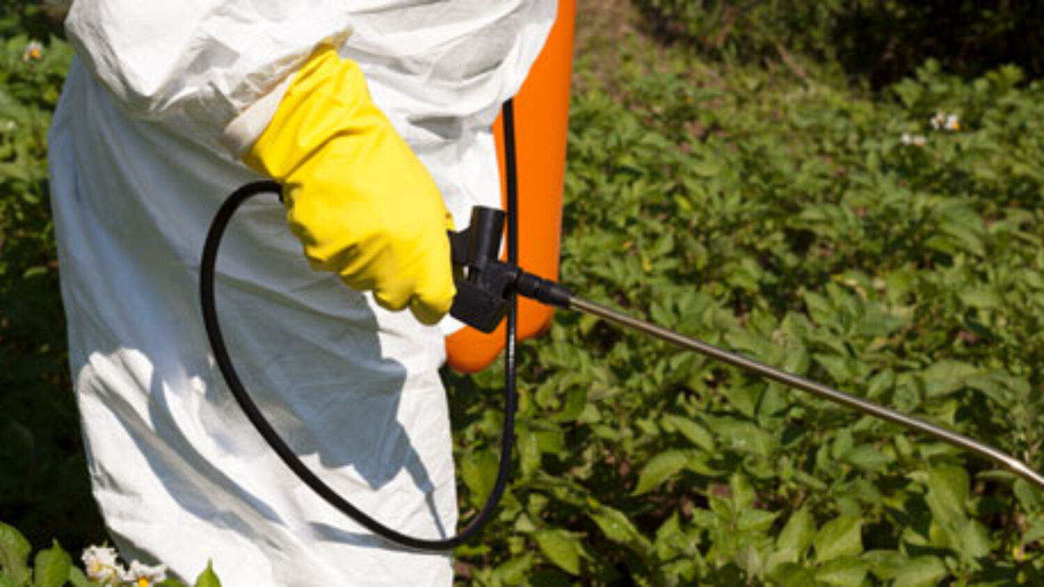 Seguridad cadena alimentaria