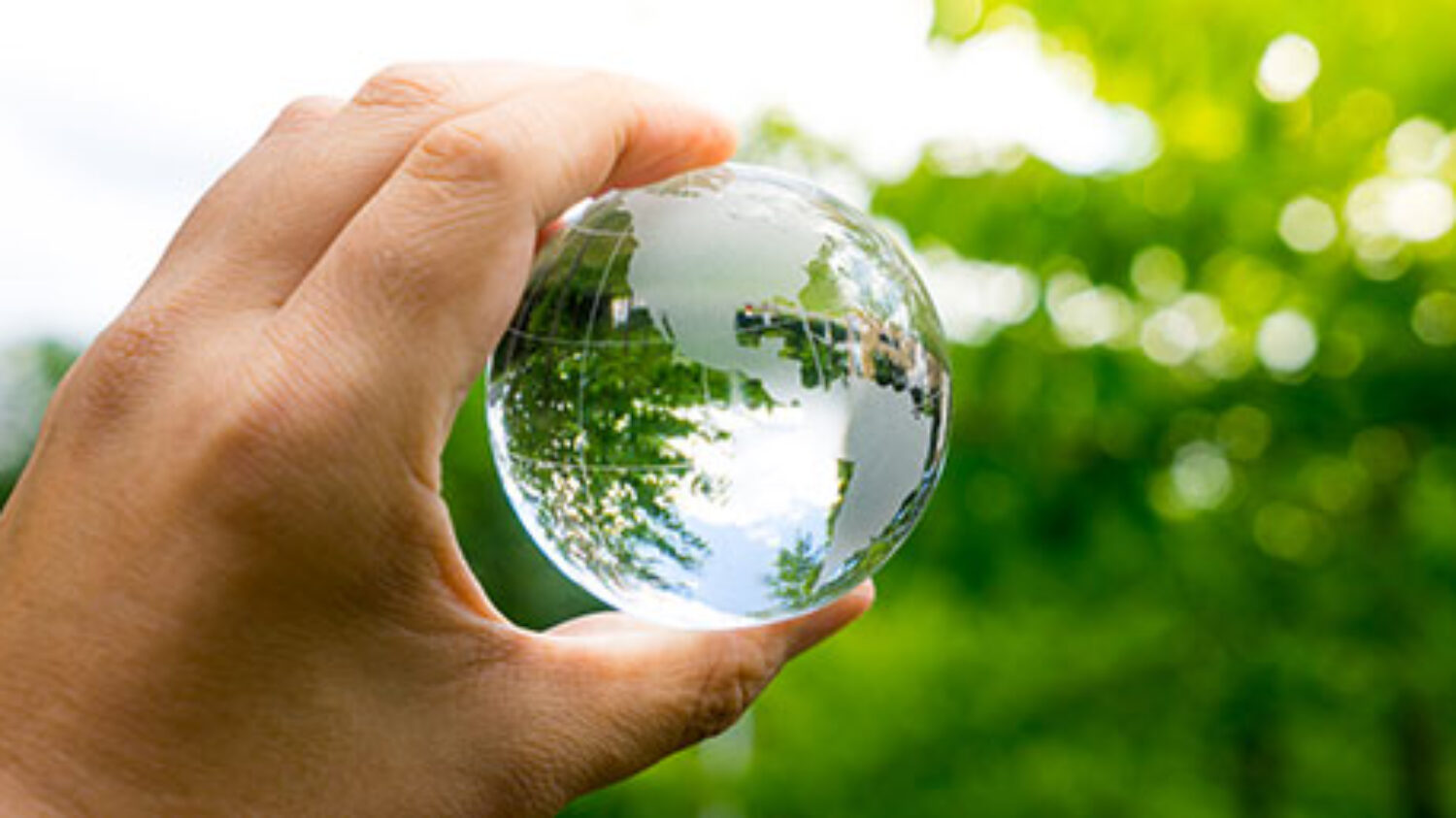 Gestión ambiental global