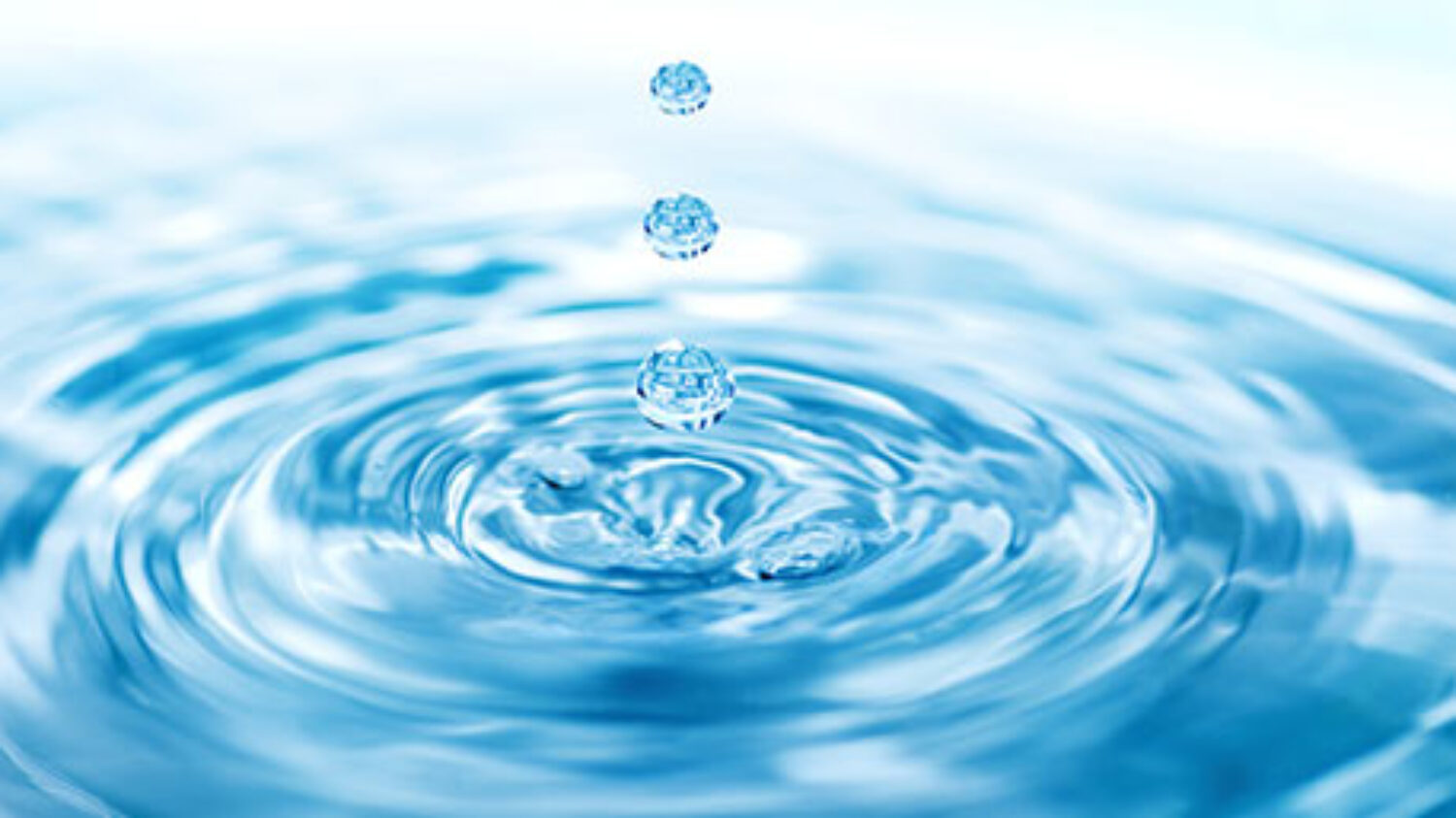 Gestión de Recursos