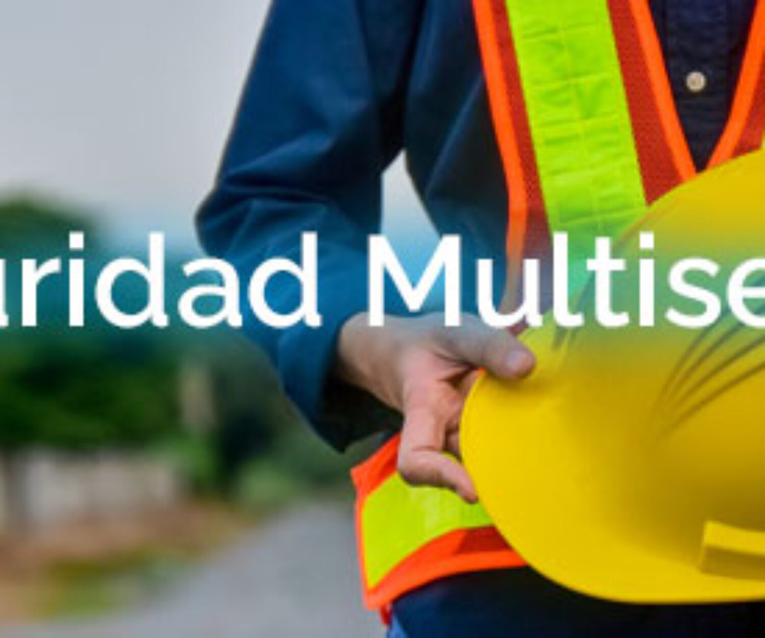 seguridad multisector