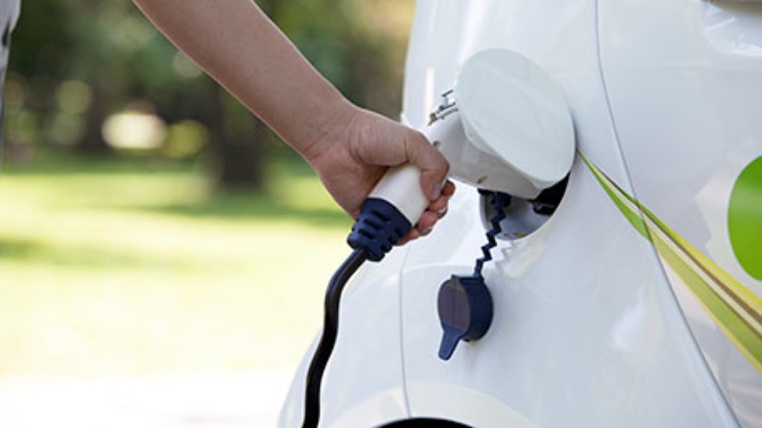 consumidores de energía