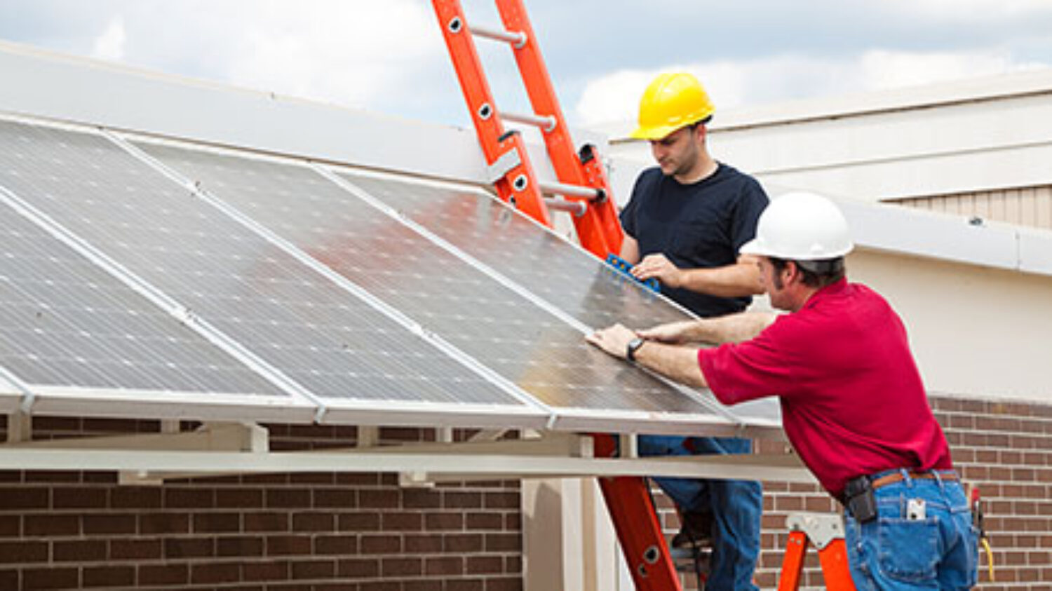 proveedores de servicios